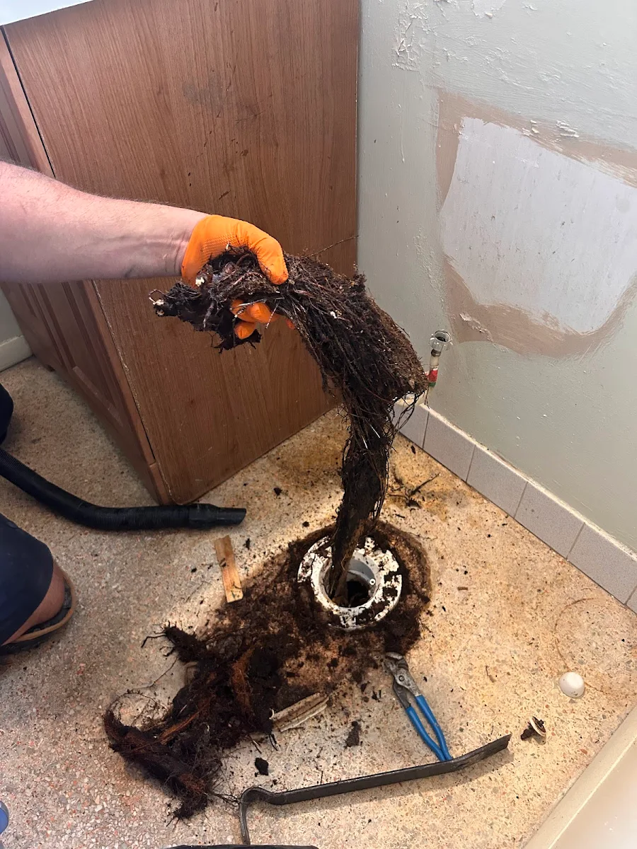 Plumber Repairing Sink Plumbing Under a Bathroom sewer line root intrusion