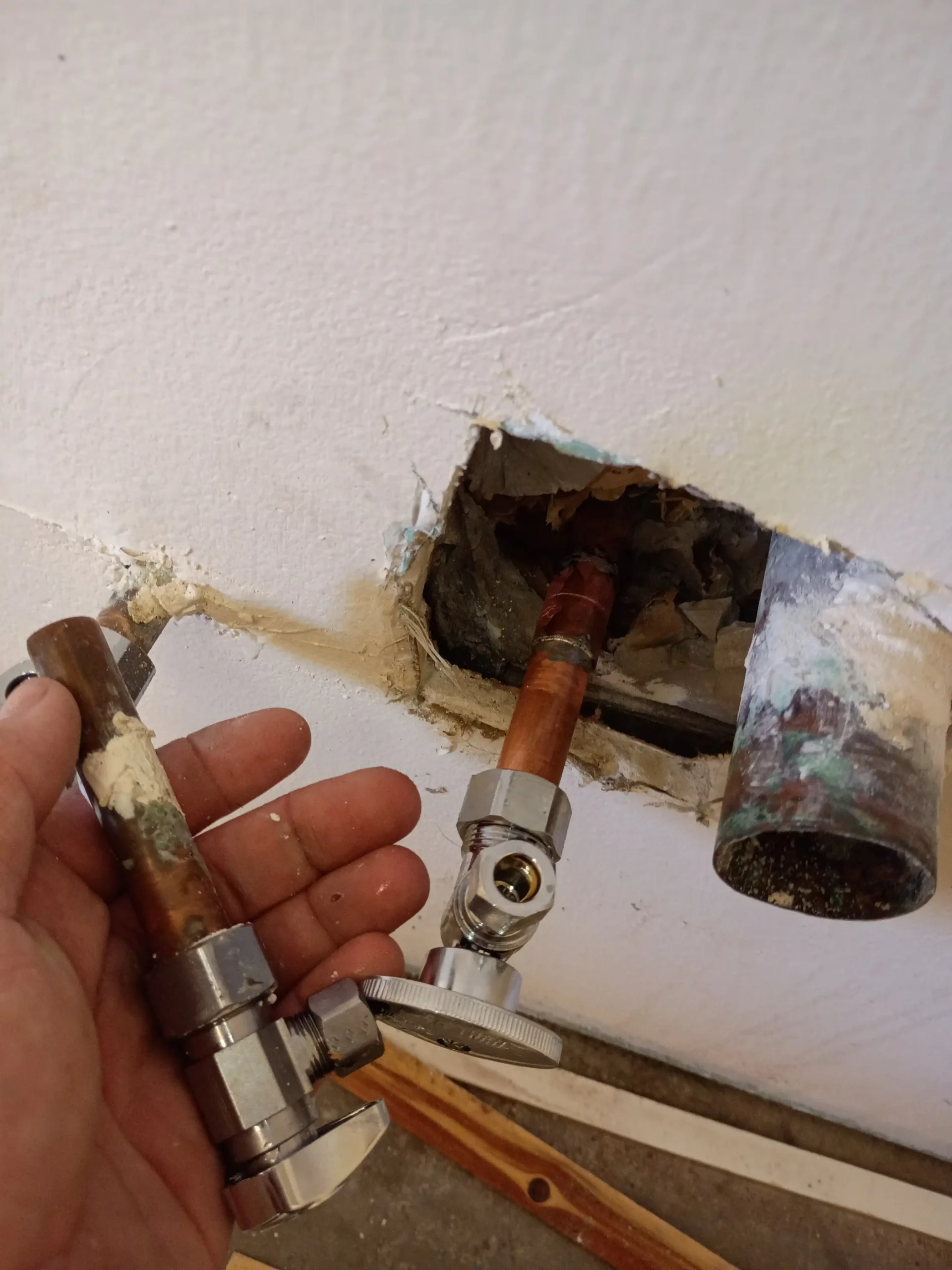 Backflow Prevention testing